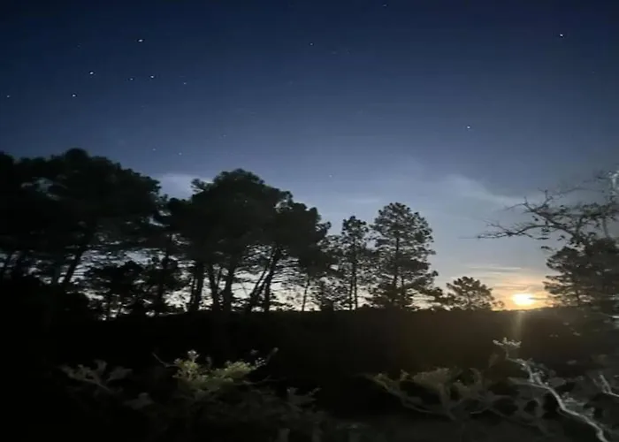 Pretty In With Swimming Pool * Courry